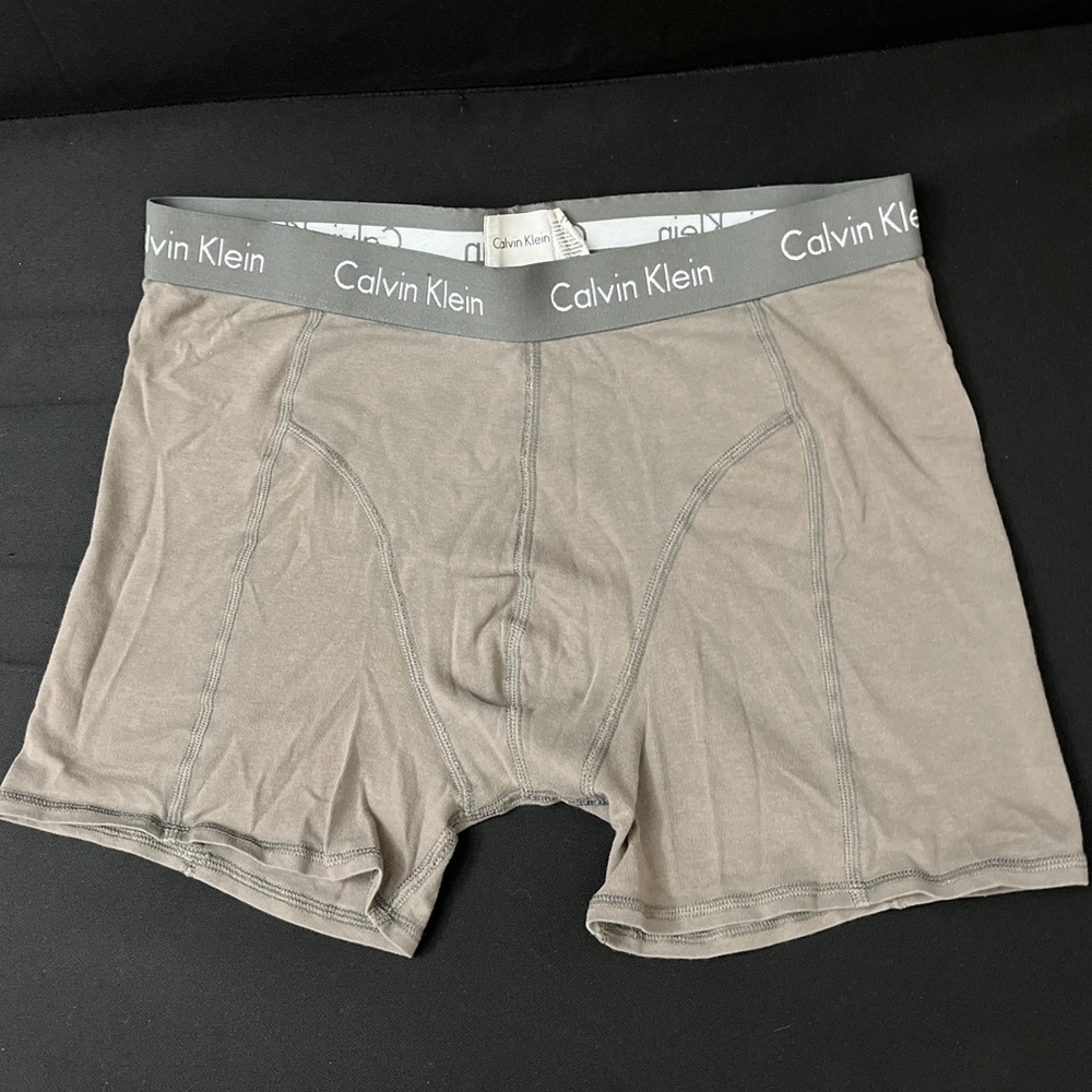 Calvin Klein briefs